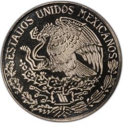 1 Peso Pattern