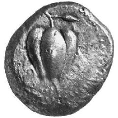 Stater