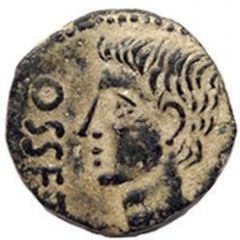 Semis - Augustus