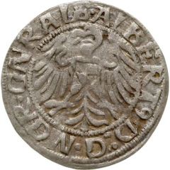 1 Groschen - Albert of Hohenzollern