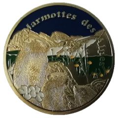 Token - Souvenirs et Patrimoine Hautes-Alpes - La Dauphiné
