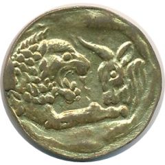Token Lion