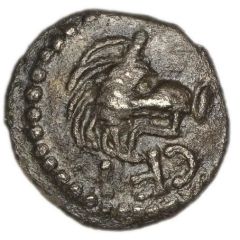 Silver Minim - Verica Verica Bull Eagle