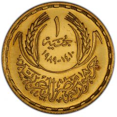 1 Pound University of Cairo - School of agriculture