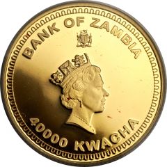 40 000 Kwacha Wildlife Protection