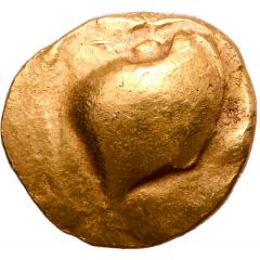 Stater Muschel Type Precursor
