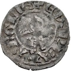 Little black Guyennois - Edward III Leopard left