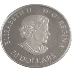 20 Dollars - Elizabeth II Maple leaf maze