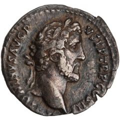 Denarius - Antoninus Pius and Marcus Aurelius AVRELIVS CAESAR AVG PII F COS