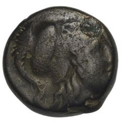 Chalkon Lysimacheia