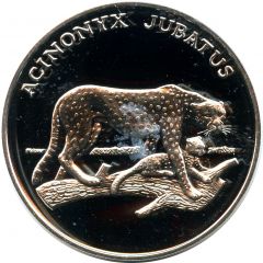 WWF 30 Years Acinonyx Jubatus