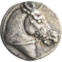 Tetradrachm - Seleukos I Nikator