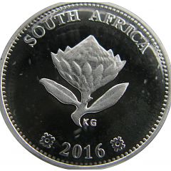 2 1/2 Cents Dolos