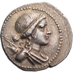 Tetradrachm - Pherenikos