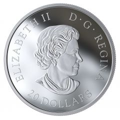 20 Dollars - Elizabeth II Steve: Sky wonders