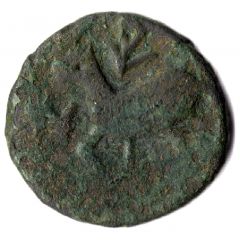 1/2 Bisti anonymous Horse