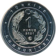 1 Kuruş Caracal