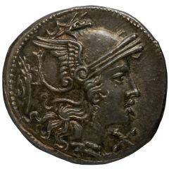 Denarius Branch, ROMA