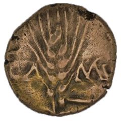 Gold Stater - Cunobelin Cunobelinus Classic No Stalk Type