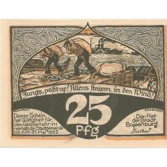 25 Pfennig