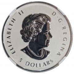 5 Dollars - Elizabeth II SML fractionnal set, 1 oz