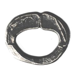 Token - Laboratory Houdé - Unknown Ring