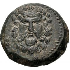 1/2 Unit Lixus