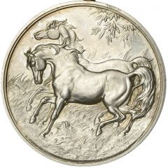 Award - Victoria Horse Show