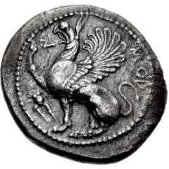 Tetradrachm - Smor[...]