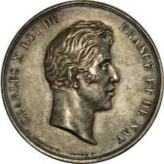 Medal - Charles X Chamber of Deputies