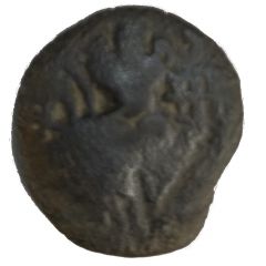 Æ Stater - Sugandha Rani