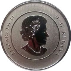 25 Dollars - Elizabeth II True North