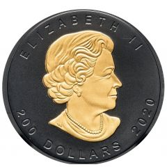 200 Dollars - Elizabeth II 4th Portrait, Rhodium Plated Maple Leaf
