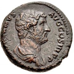 Dupondius or As - Hadrian ADVENTVS AVG MAVRETANIAE S C, Mauretania