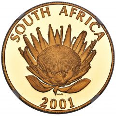 1 Ounce Protea Tourism