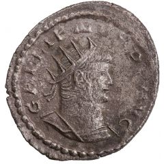 Antoninianus - Gallienus P M TR P XII COS V P P, Serapis