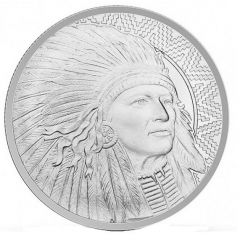 Indian - Buffalo Warrior