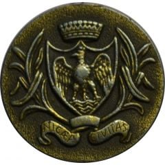 médaille VILLE DE NICE