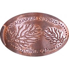 Aquarium de Paris - Cinéaqua Deux coraux