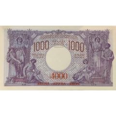 4000 Kruna overprint on 1000 Dinara