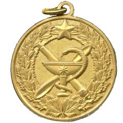 Medal - 100th Anniversary of the Medical Service of the Aerospace Forces