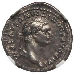 Denarius - Domitian TR POT IMP II COS VIII DES VIIII P P, Fortuna
