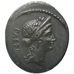 Denarius C. Considius Paetus, PAETI / C•CONSIDI