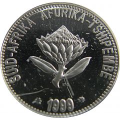 2 1/2 Cents Great White Shark