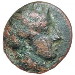 Æ Olynthus