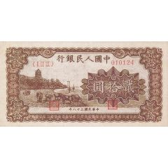 20 Yuan