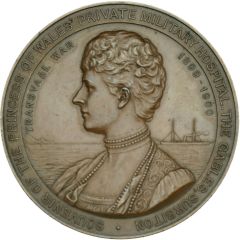 Award Princess of Wales` Private Hospital; bronze