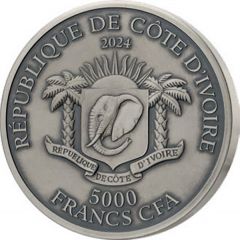 5000 Francs CFA Rhino