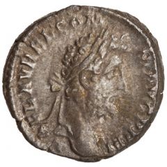 Denarius - Commodus P M TR P XVII IMP VIII COS VII P P, Fortuna