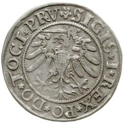 Grosz elbląski - Sigismund I the Old Elbląg mint